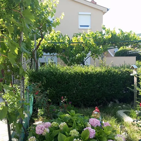 Danijela Apartament