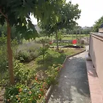 아파트 Danijela 로파르
